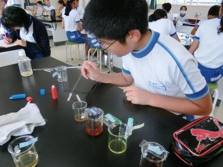 9月 16年 県居小学校 ブログ 県居小学校