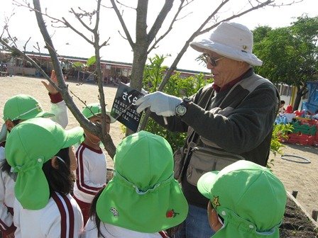 木に名前を付けたよ 夢をはぐくむ園 学校づくり推進事業 11月 13年 赤佐西幼稚園 ブログ 赤佐西幼稚園