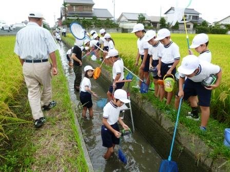 ３年魚とり体験 9月 16年 有玉小学校 ブログ 有玉小学校