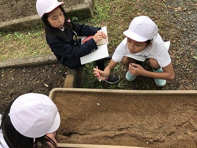 ５年生理科 流れる水のはたらき 11月 18年 二俣小学校 ブログ 二俣小学校