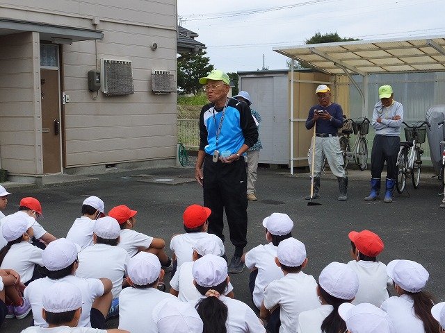 ポピーの種まき 10月 17年 浜名小学校 ブログ 浜名小学校