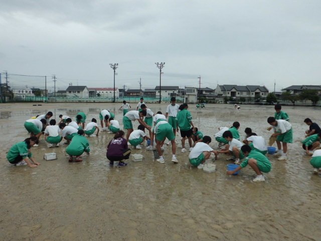 運動会の日程 再訂正について 9月 15年 浜名中学校 ブログ 浜名中学校