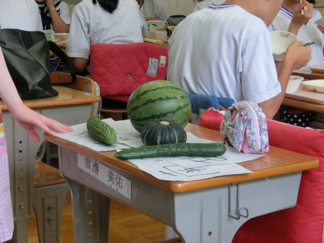 瓜科の野菜 7月 14年 春野中学校 ブログ 春野中学校