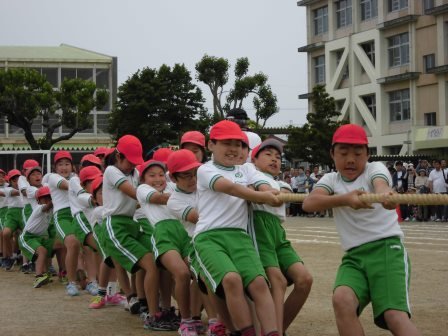 6月 16年 初生小学校 ブログ 初生小学校
