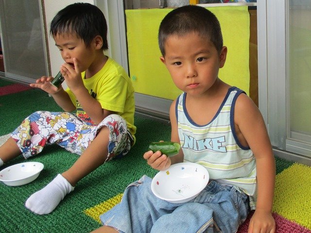 キュウリ丸かじり 7月 17年 平山幼稚園 ブログ 平山幼稚園