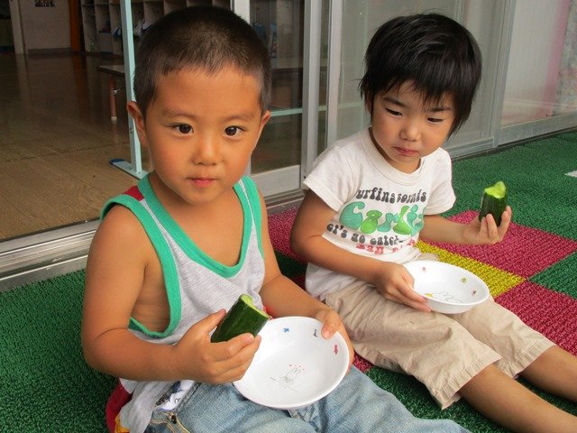 キュウリ丸かじり 7月 17年 平山幼稚園 ブログ 平山幼稚園