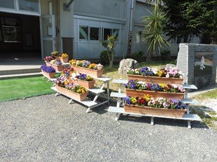 玄関 昇降口に プランターの花が 4月 18年 泉小学校 ブログ 泉小学校