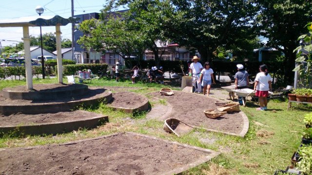 中央花壇の土の入れ替え 夢をはぐくむ学校づくり推進協議会 7月 16年 泉小学校 ブログ 泉小学校
