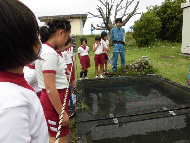 大原浄水場の見学 6月 18年 金指小学校 ブログ 金指小学校