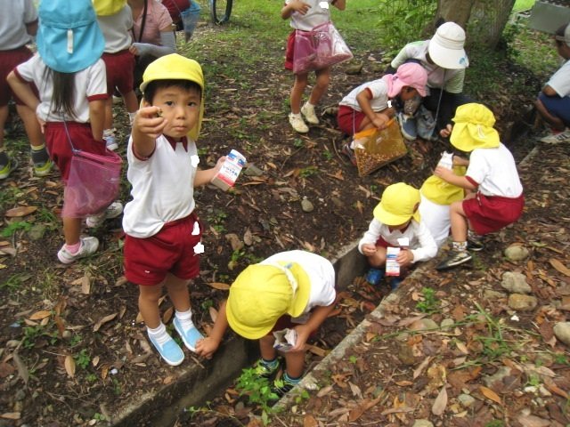 どんぐり拾い 10月 15年 金指幼稚園 ブログ 金指幼稚園