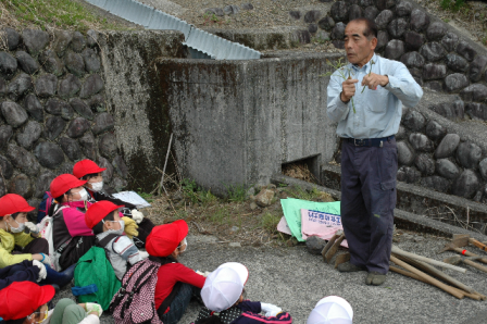 ワラビ採りに行ってきました 4月 17年 気田小学校 ブログ 気田小学校