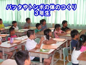 バッタやトンボの体のつくり ３年生 5月 15年 北浜小学校 ブログ 北浜小学校