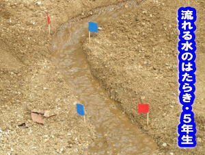 流れる水のはたらき ５年生 10月 14年 北浜北小学校 ブログ 北浜北小学校
