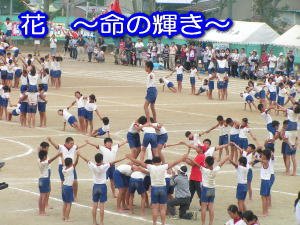 運動会 高学年の組体操 9月 12年 北浜北小学校 ブログ 北浜北小学校