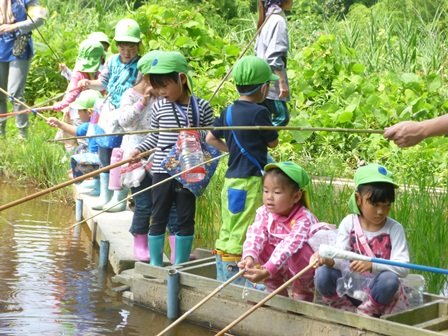 トンボ池 6月 15年 北庄内幼稚園 ブログ 北庄内幼稚園