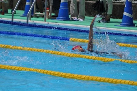 天竜 龍山地区水泳記録会 7月 18年 光明小学校 ブログ 光明小学校