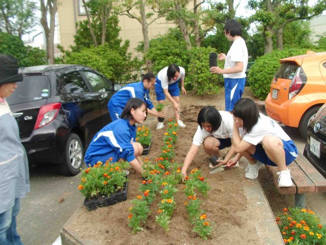 ５月２７日 金 苗の植え替え 5月 16年 丸塚中学校 ブログ 丸塚中学校