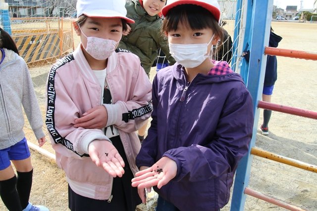 ４年生 理科 季節と生き物 冬 2月 19年 三方原小学校 ブログ 三方原小学校