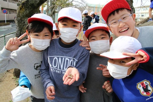 ４年生 理科 季節と生き物 冬 2月 19年 三方原小学校 ブログ 三方原小学校