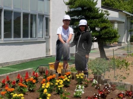 夏 秋花壇の定植 5月 18年 三ヶ日西小学校 ブログ 三ヶ日西小学校