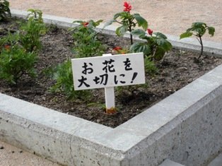 花を大切に 7月 13年 南の星小学校 ブログ 南の星小学校