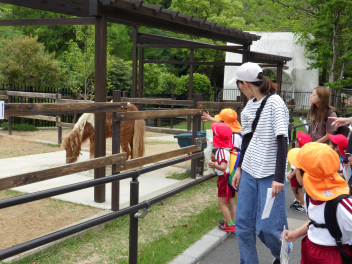 親子遠足に行ってきました☆ | 5月 | 2026年 | 奥山幼稚園 ブログ