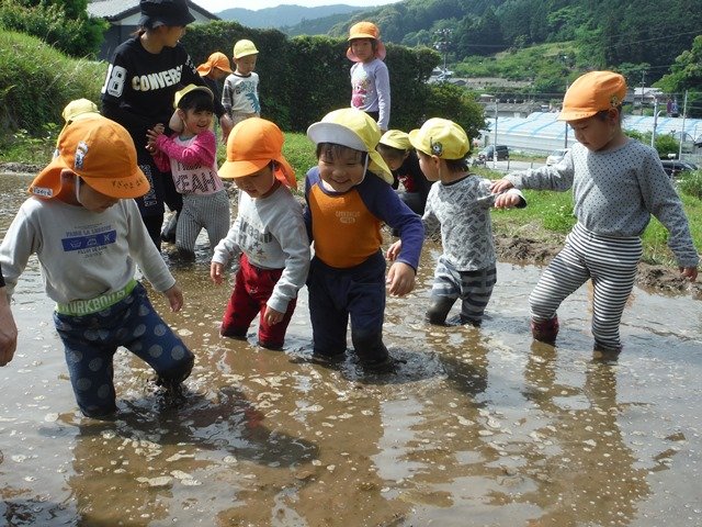 田んぼで泥んこ遊び 5月 18年 奥山幼稚園 ブログ 奥山幼稚園