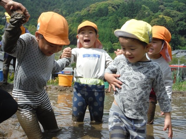 田んぼで泥んこ遊び 5月 18年 奥山幼稚園 ブログ 奥山幼稚園