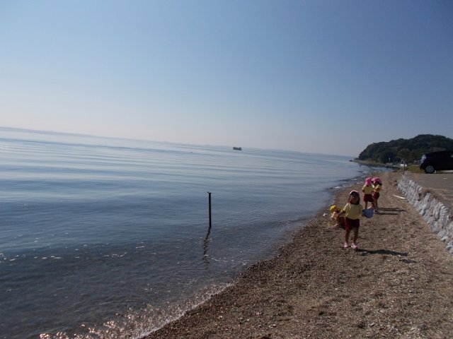 大崎海岸へ行ったよ 10月 17年 大崎幼稚園 ブログ 大崎幼稚園
