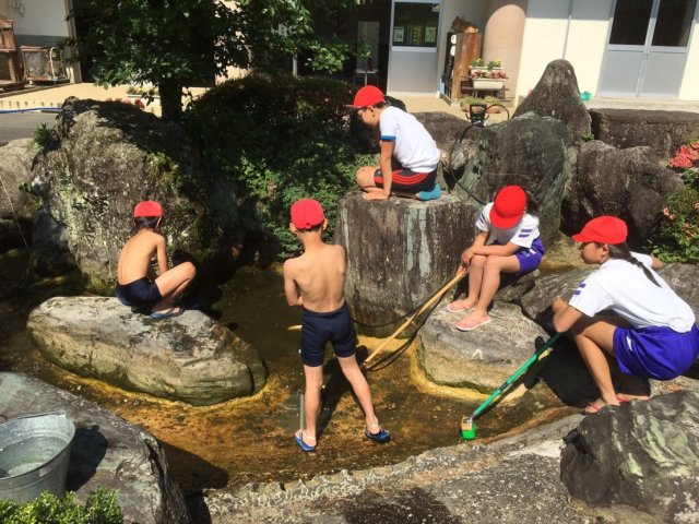 池そうじ 6月 17年 佐久間小学校 ブログ 佐久間小学校