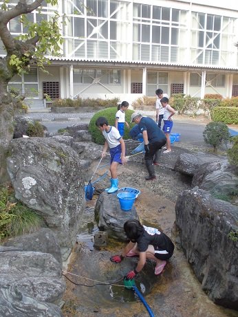 池の掃除がんばりました 10月 18年 佐久間小学校 ブログ 佐久間小学校