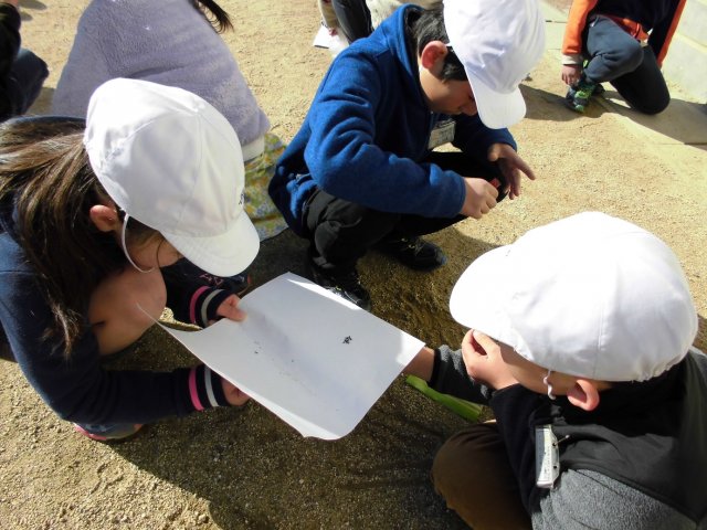 砂鉄を集めたよ 3年 2月 18年 積志小学校 ブログ 積志小学校