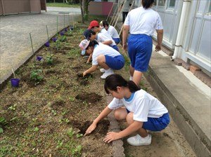 苗植え 5月 18年 積志中学校 ブログ 積志中学校