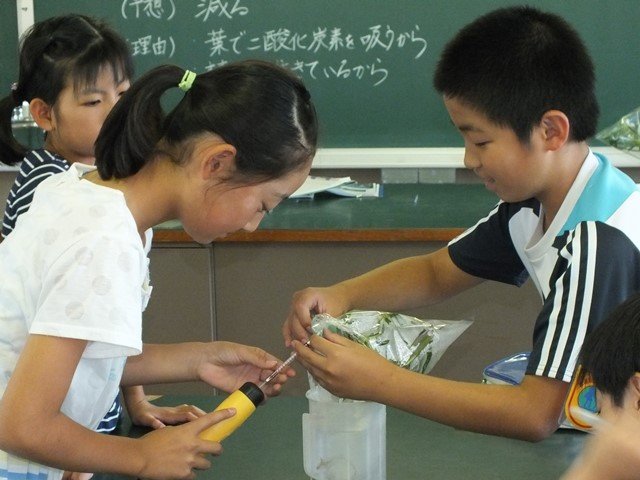 ６年 理科 生物どうしのかかわり 6月 16年 豊西小学校 ブログ 豊西小学校