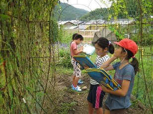 理科 季節と生き物 秋 9月 2016年 浦川小学校 ブログ 浦川小学校