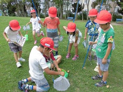 安間川公園で遊ぼう 7月 17年 和田小学校 ブログ 和田小学校