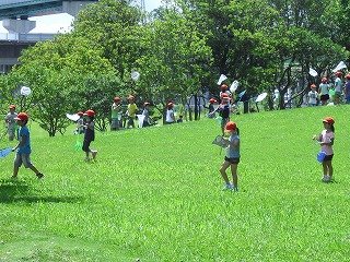 生活科 安間川公園で 7月 15年 和田小学校 ブログ 和田小学校