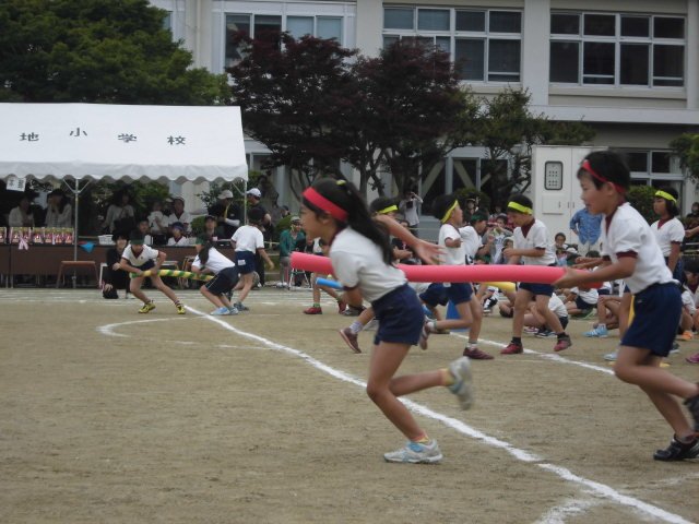 5月 16年 和地小学校 ブログ 和地小学校